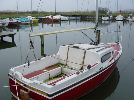 Foxcup Mayflower billede 6