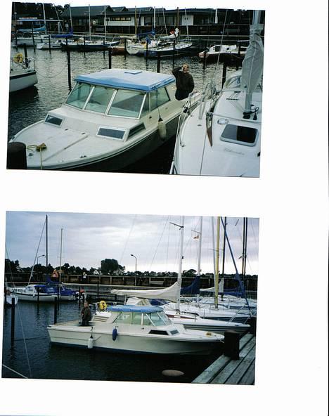 Trolling C-eagle, glasfiber billede 1