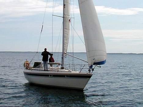Nordship  29 billede 2