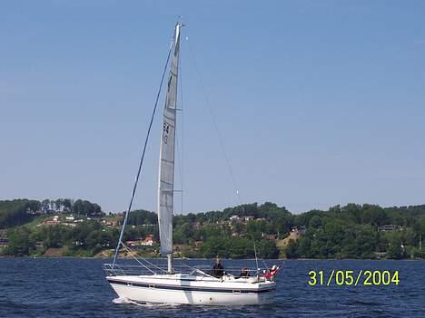 Nordship  29 billede 10