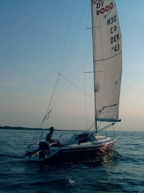 dynamic 2000 sailboat