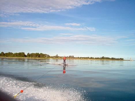 Sea Ray 160 CBOB SOLGT billede 2