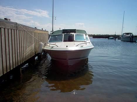 Sea Ray 160 CBOB SOLGT billede 3