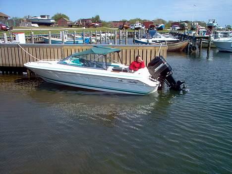 Sea Ray 160 CBOB SOLGT billede 6