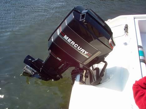 Sea Ray 160 CBOB SOLGT billede 7