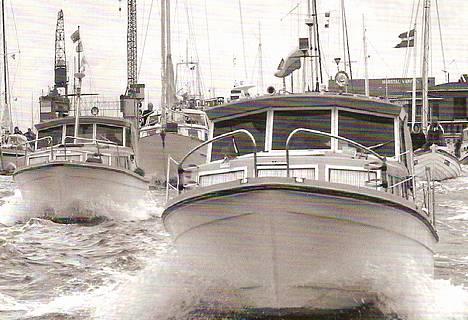 Tresfjord 26 Lux - Fra "rævejagt 2004" billede 1