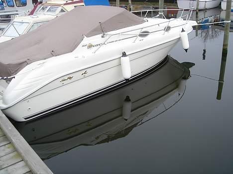 Sea Ray 250 Sundancer billede 3