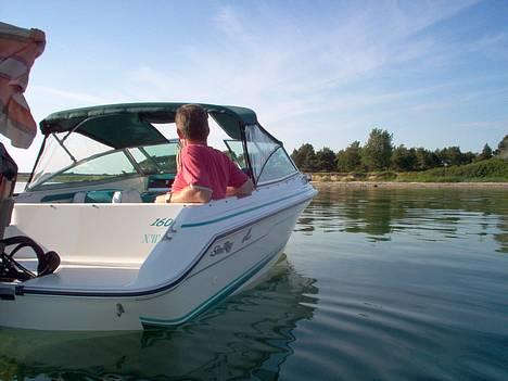 Sea Ray 160 CBOB SOLGT billede 13
