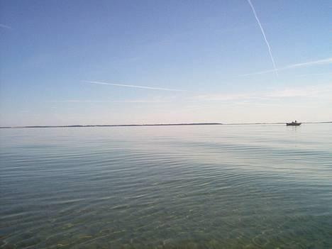 Sea Ray 160 CBOB SOLGT billede 14