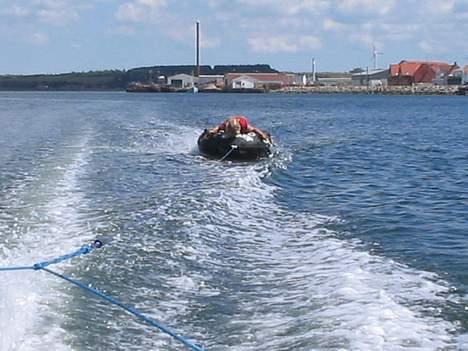 Terhi 410 SOLGT  billede 10