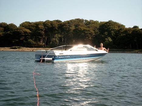 Bayliner 1750 Capri Bowrider - Glæder vi os til sommeren? billede 3