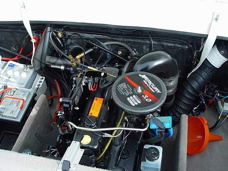 Stingray 190CX - Sådan skal en motor se ud  billede 3