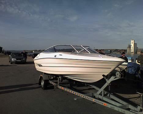 Campion 505 VR CD Solgt billede 5