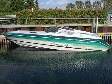 Sea Ray pachanga 22 billede 7