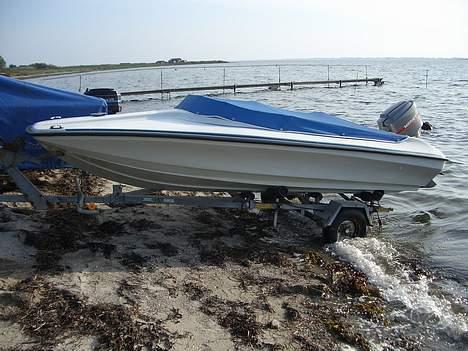 Marina Mustang 14 billede 2