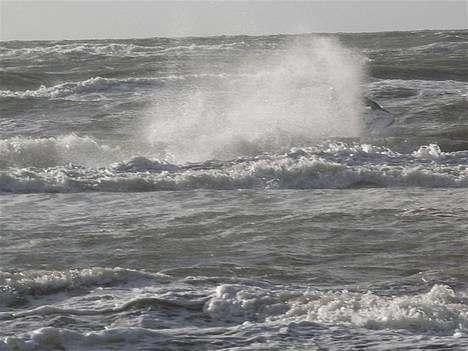 Kawasaki 800SX-R  [SOLGT] - Jetskitur i Vejers v 15 s/m billede 10