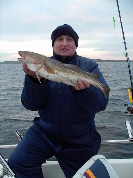 Ryds 511 GTS - Båden er solgt - torsk på 1.5 kilo fanget på pilketur den 27 november 2005 billede 9
