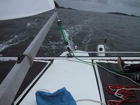 X Racer Trimaran (Til salg) billede 3