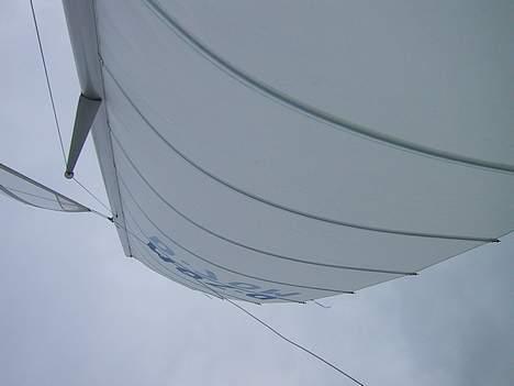 X Racer Trimaran (Til salg) billede 6