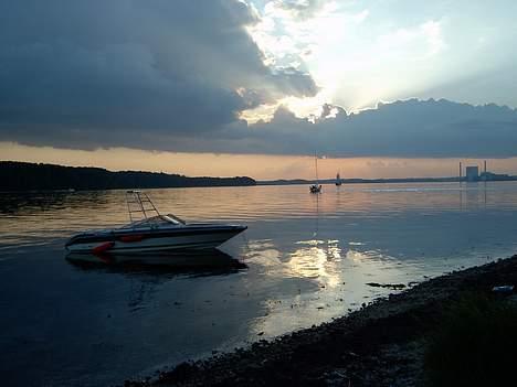 Sea Ray 230 Sorrento [SOLGT] Hulk - TIL SALG! PRIS KUN 99.000kr. ...  her i solnedgang ved fænø-kalv billede 1