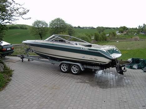 Sea Ray 230 Sorrento [SOLGT] Hulk - i indkørslen hjemme billede 6