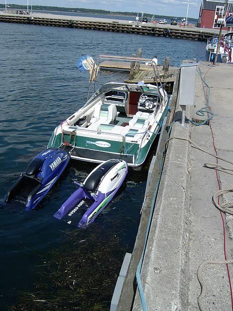 Sea Ray 230 Sorrento [SOLGT] Hulk - juelsminde havn til isspisning billede 7