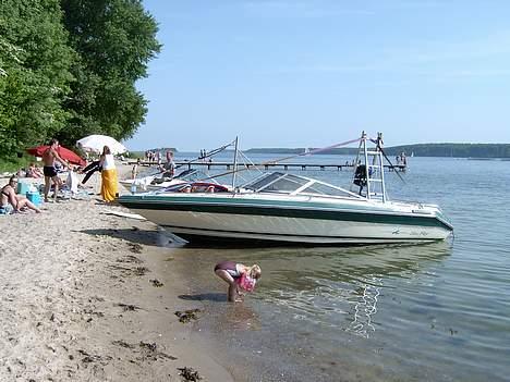 Sea Ray 230 Sorrento [SOLGT] Hulk - skærbæk strand billede 10