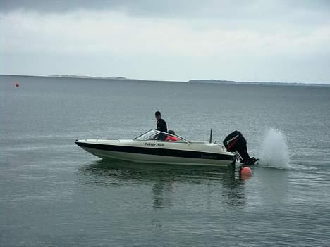 Sensation 1600 CB - plasker af bar begejstring billede 1
