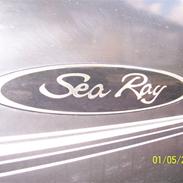 Sea Ray 175 sport
