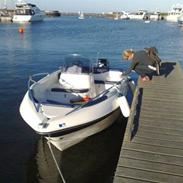 X Corsiva 475 Sport