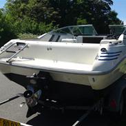 Sea Ray "SOLGT" 200 OV LTD