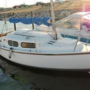 Vivacity 20