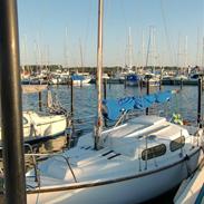 Vivacity 20