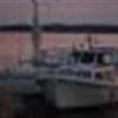 Starlet 26 fod