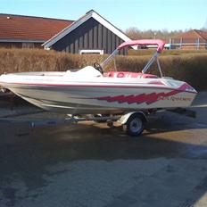 Sea Ray Sea Rayder SOLGT...