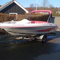 Sea Ray Sea Rayder SOLGT...