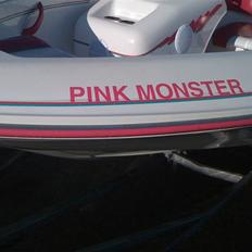 Sea Ray Sea Rayder SOLGT...