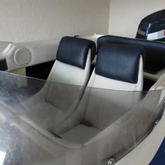 Shakespeare Wave Rider 