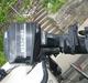 Crescent 15.5