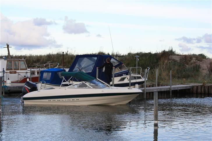 Bayliner 1800 capri billede 7