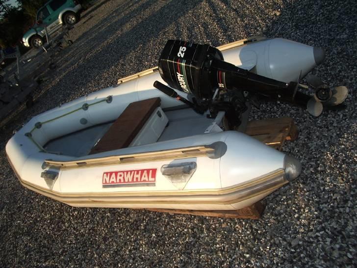 Rib Narwhal   billede 1