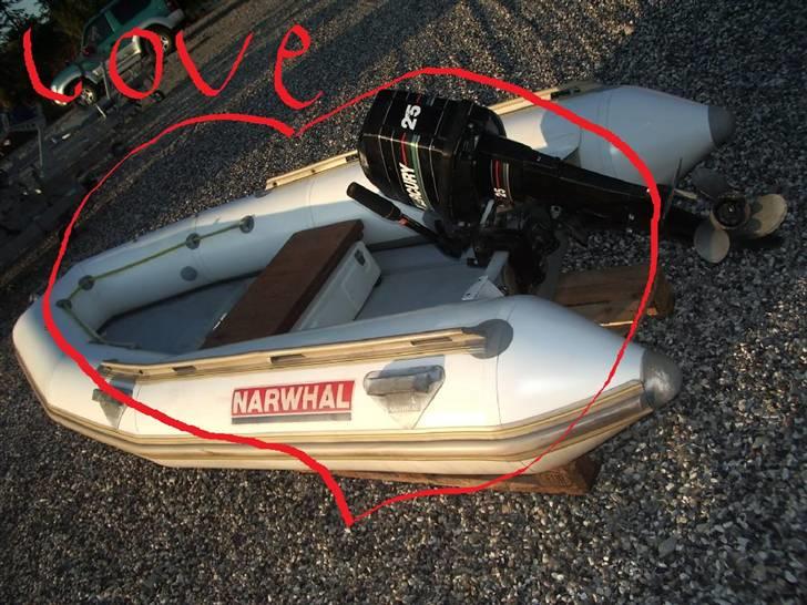 Rib Narwhal   - LOVE :D billede 3
