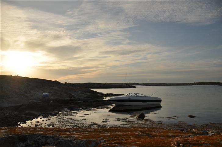 Stingray 195 CS billede 6