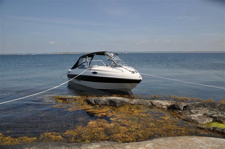 Stingray 195 CS billede 7