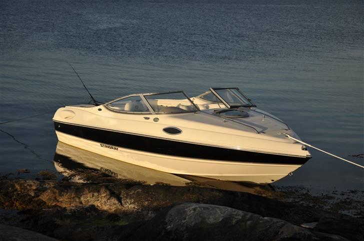 Stingray 195 CS billede 8