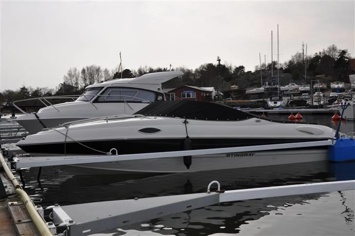 Stingray 195 CS billede 14