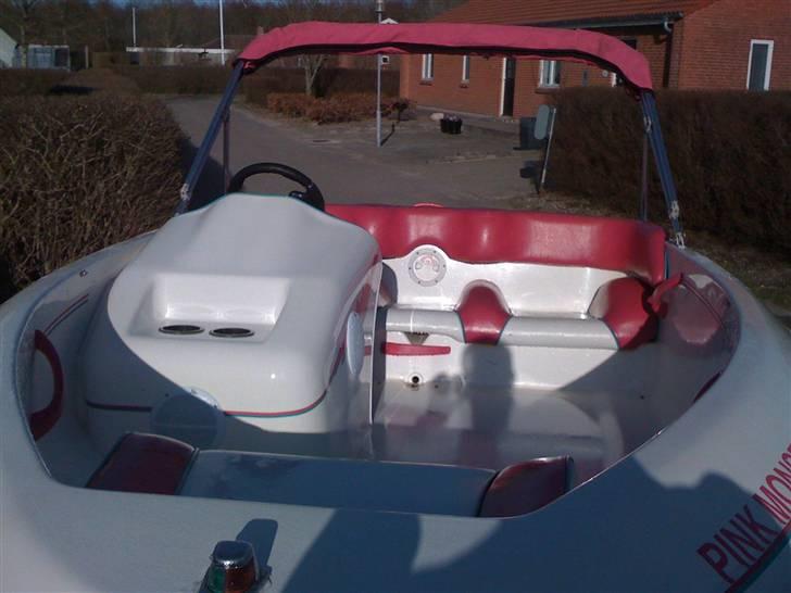 Sea Ray Sea Rayder SOLGT... billede 4