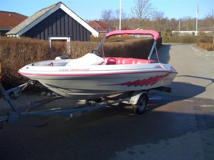 Sea Ray Sea Rayder SOLGT... billede 16