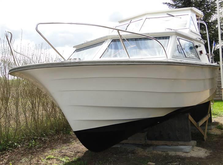 Fjord Consul billede 2