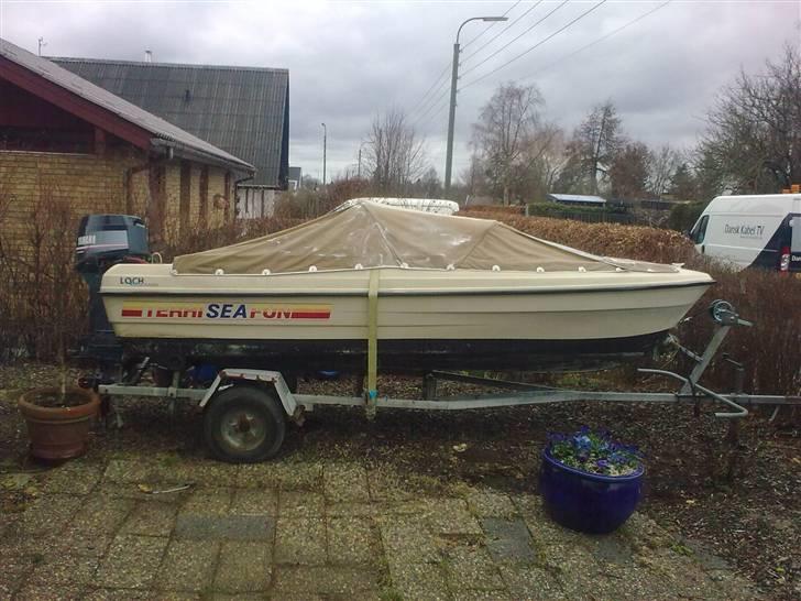 Terhi seafun 405/tilsalg billede 6